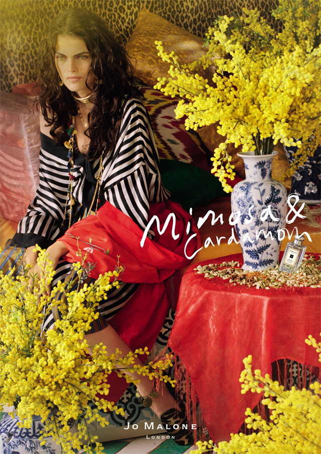 "Богемный дух" аромата Mimosa & Cardamom Jo Malone London (фото 1)
