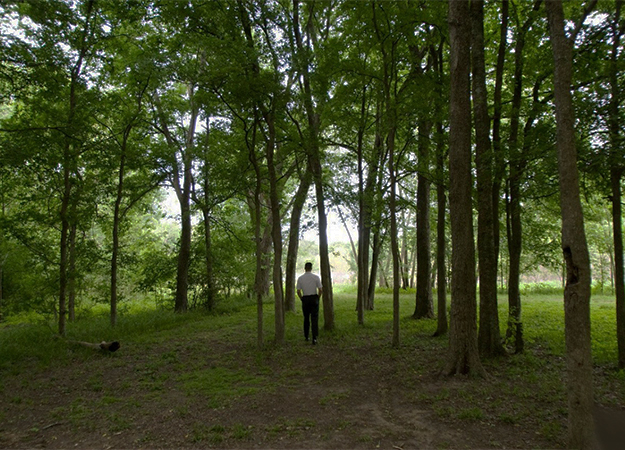 О чем новая книга Ханьи Янагихары «Люди среди деревьев» (фото 3)