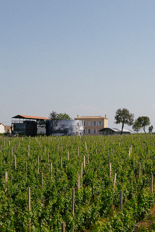 Вино с виноградников из списка всемирного наследия ЮНЕСКО: какое оно и как его делают (фото 5)
