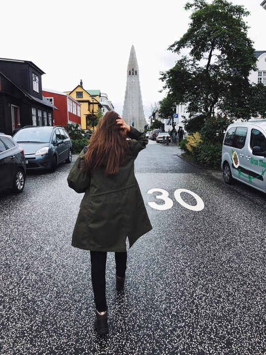 Путевые заметки Виктории Клиновской о путешествии в Исландию (фото 8)