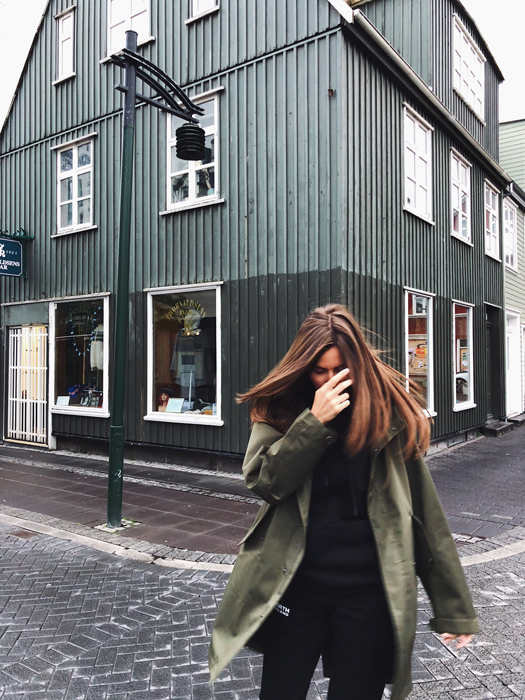 Путевые заметки Виктории Клиновской о путешествии в Исландию (фото 6)