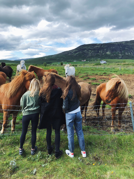 Путевые заметки Виктории Клиновской о путешествии в Исландию (фото 40)