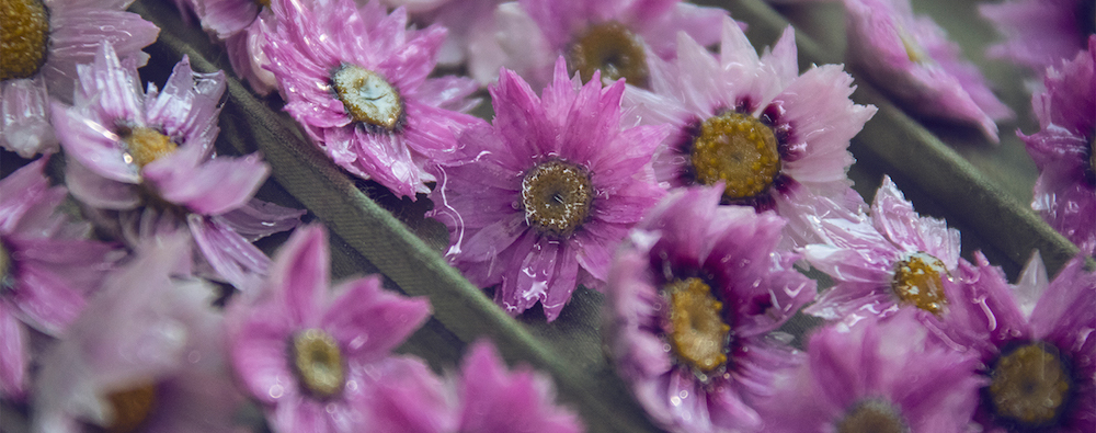 Живые цветы и фата в виде росы: как создавалась коллекция Chanel Haute Couture (фото 3)