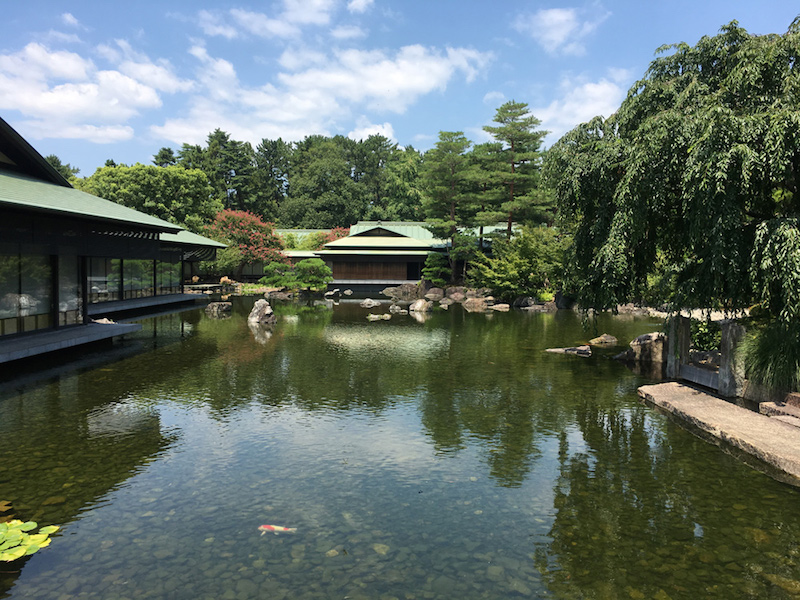 Настоящий васаби и идеальный урбанизм: Вика Газинская — о путешествии по Японии (фото 47)