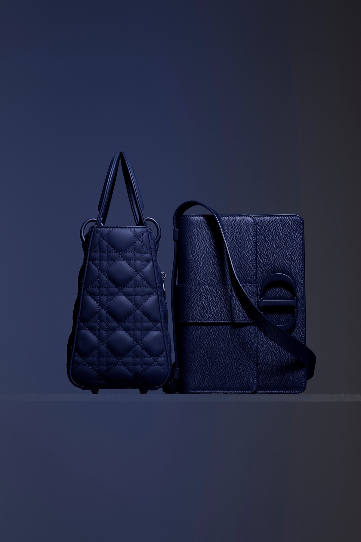 Dior выпустил коллекцию сумок из разноцветной матовой кожи (фото 3)