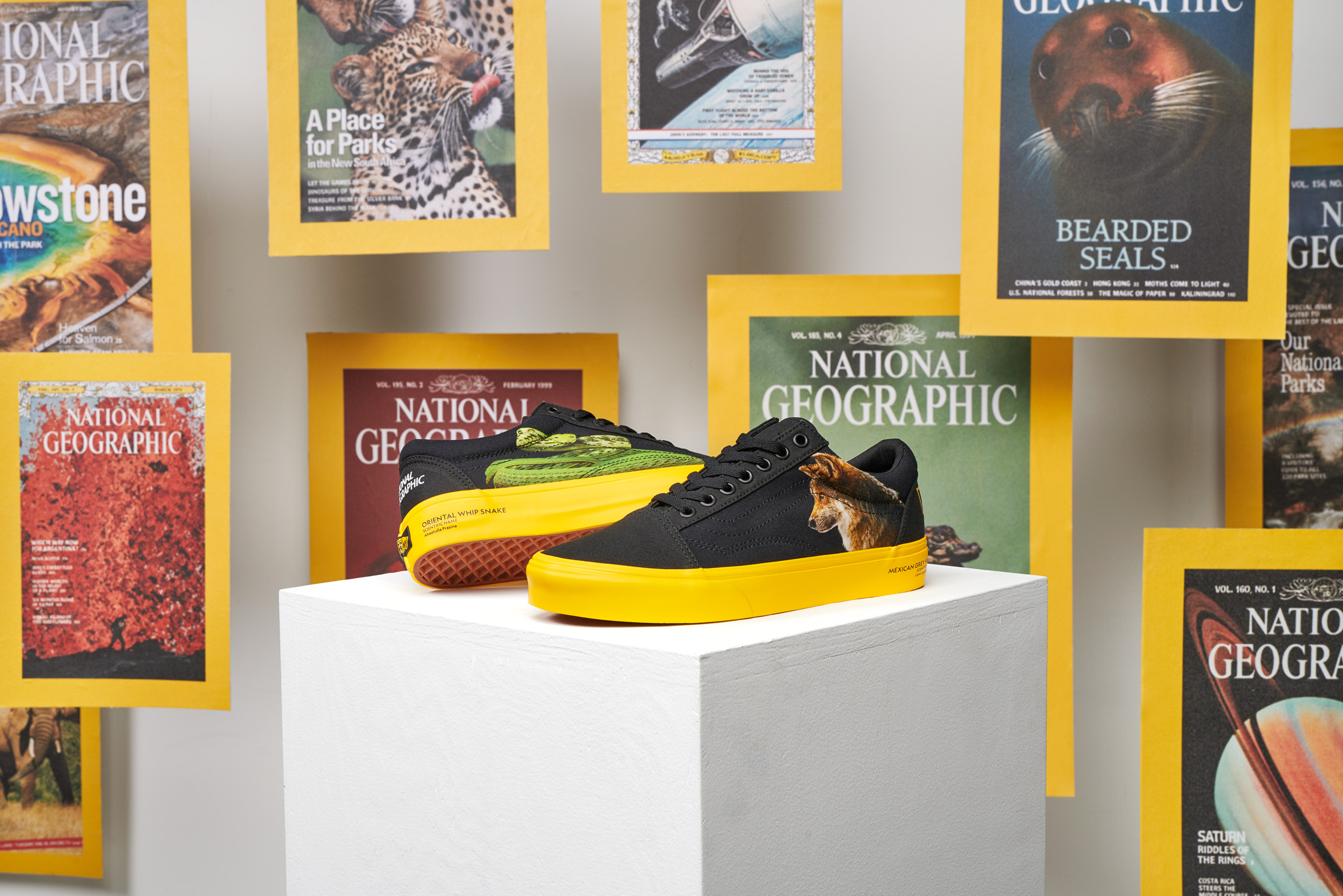 Vans и National Geographic выпустили совместную коллекцию (фото 7)