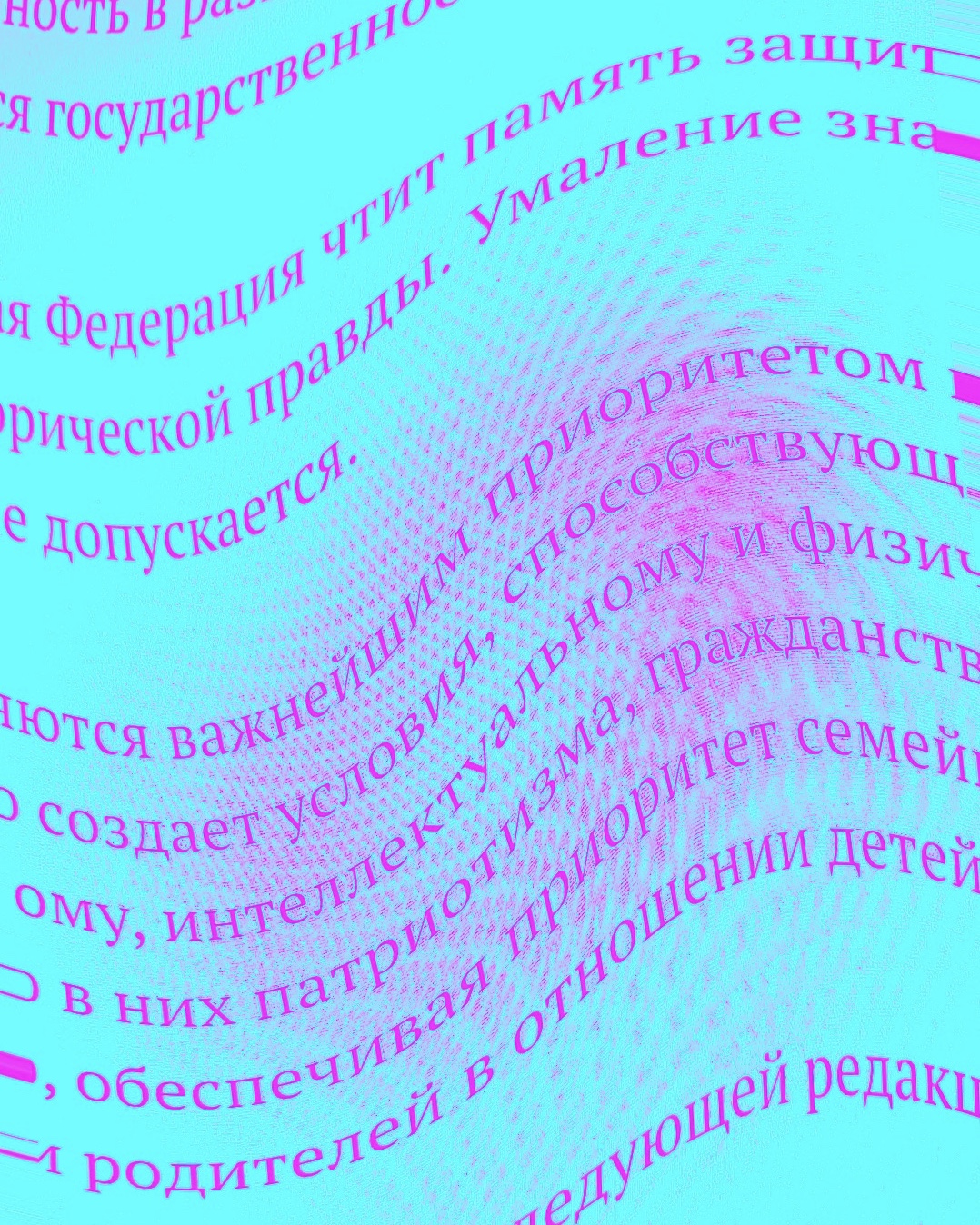 Поправки к поправкам в Конституцию: Денис Катаев — о топорной агитации и превращении закона в дышло (фото 1)