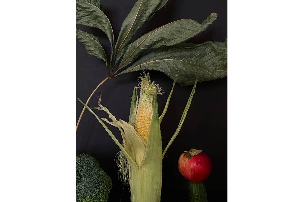 Художники сделали работы из овощей и фруктов для проекта онлайн-галереи Sample и Даниловского рынка (фото 9)