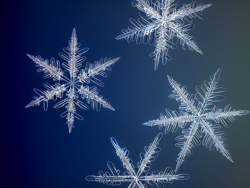 Фотограф заснял снежинки в макросъемке на 100 мегапикселей (фото 1)