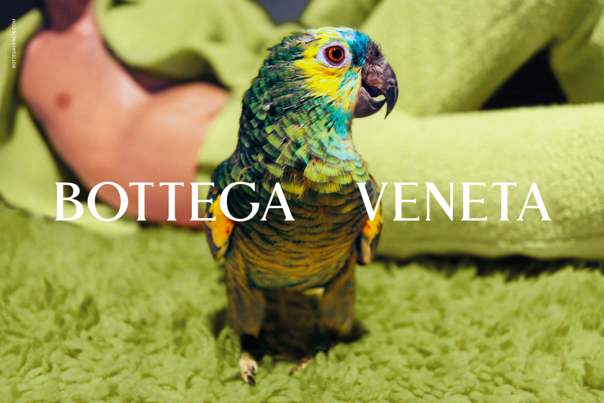 В новой кампании Bottega Veneta снялись далматинец и попугай (фото 11)