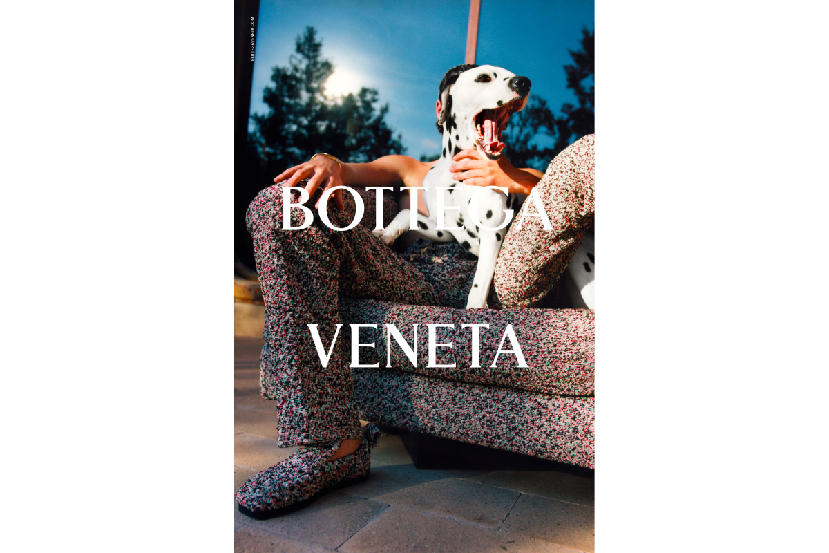 В новой кампании Bottega Veneta снялись далматинец и попугай (фото 6)