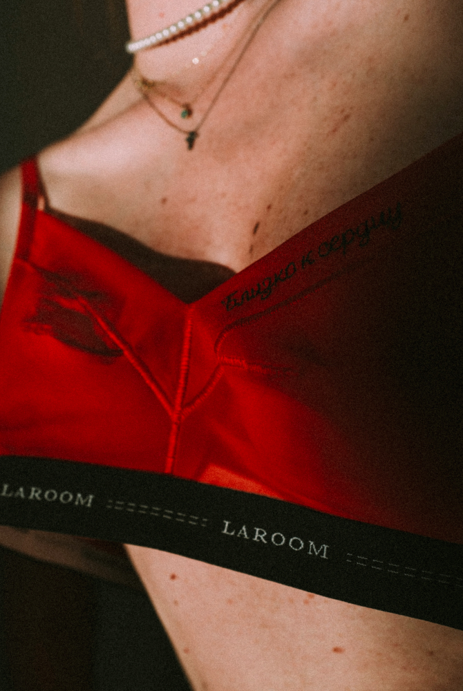 Laroom и Le Journal Intime выпустили совместную коллекцию нижнего белья (фото 13)