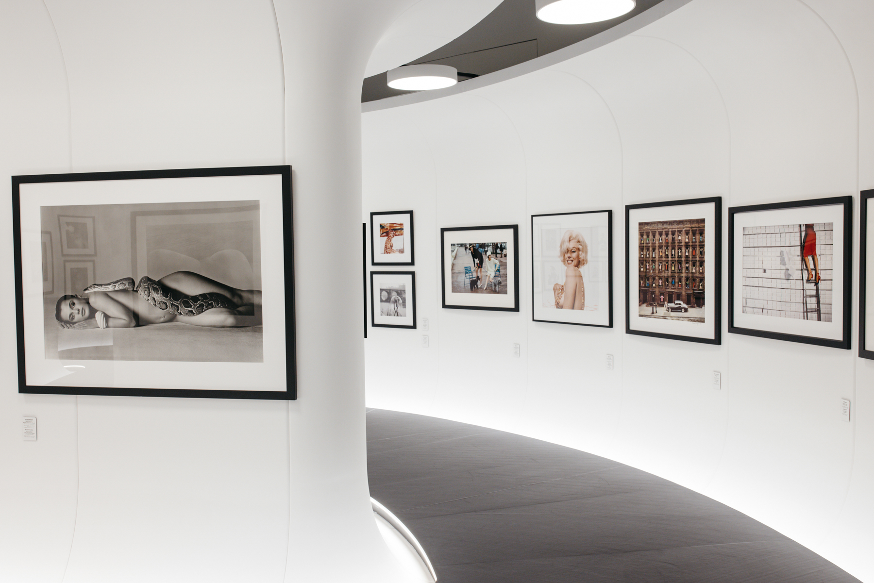 Выставка фонда Still Art в Главном штабе Эрмитажа. 5 историй легендарных фэшн-фотографий (фото 3)