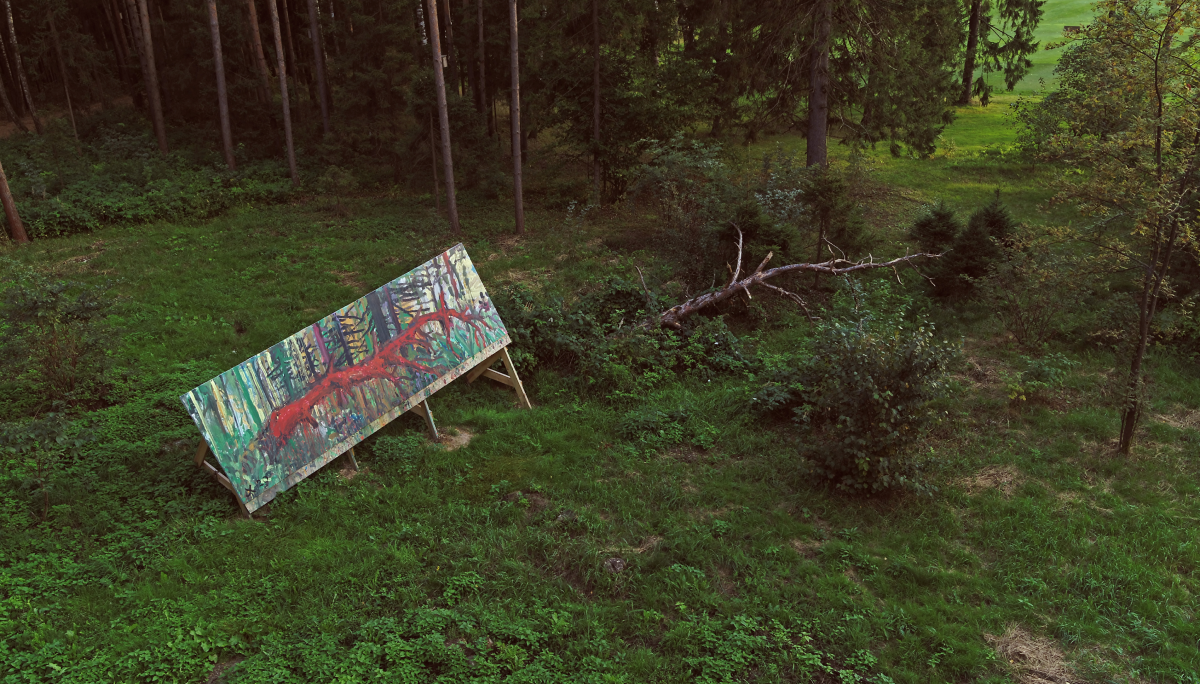 В парке Малевича открылся ленд-арт-проект «Белый лес» (фото 3)