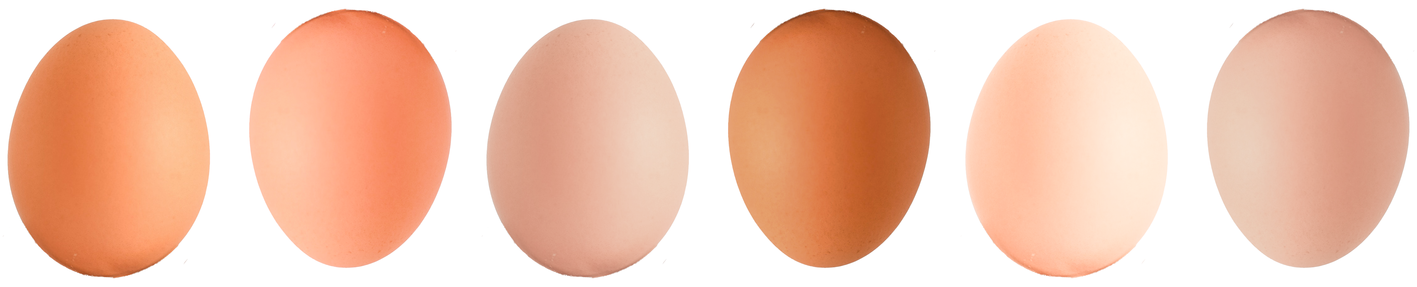 Скрэмбл или пашот? Как приготовить яйца, чтобы поддержать холестерин в норме (фото 1)