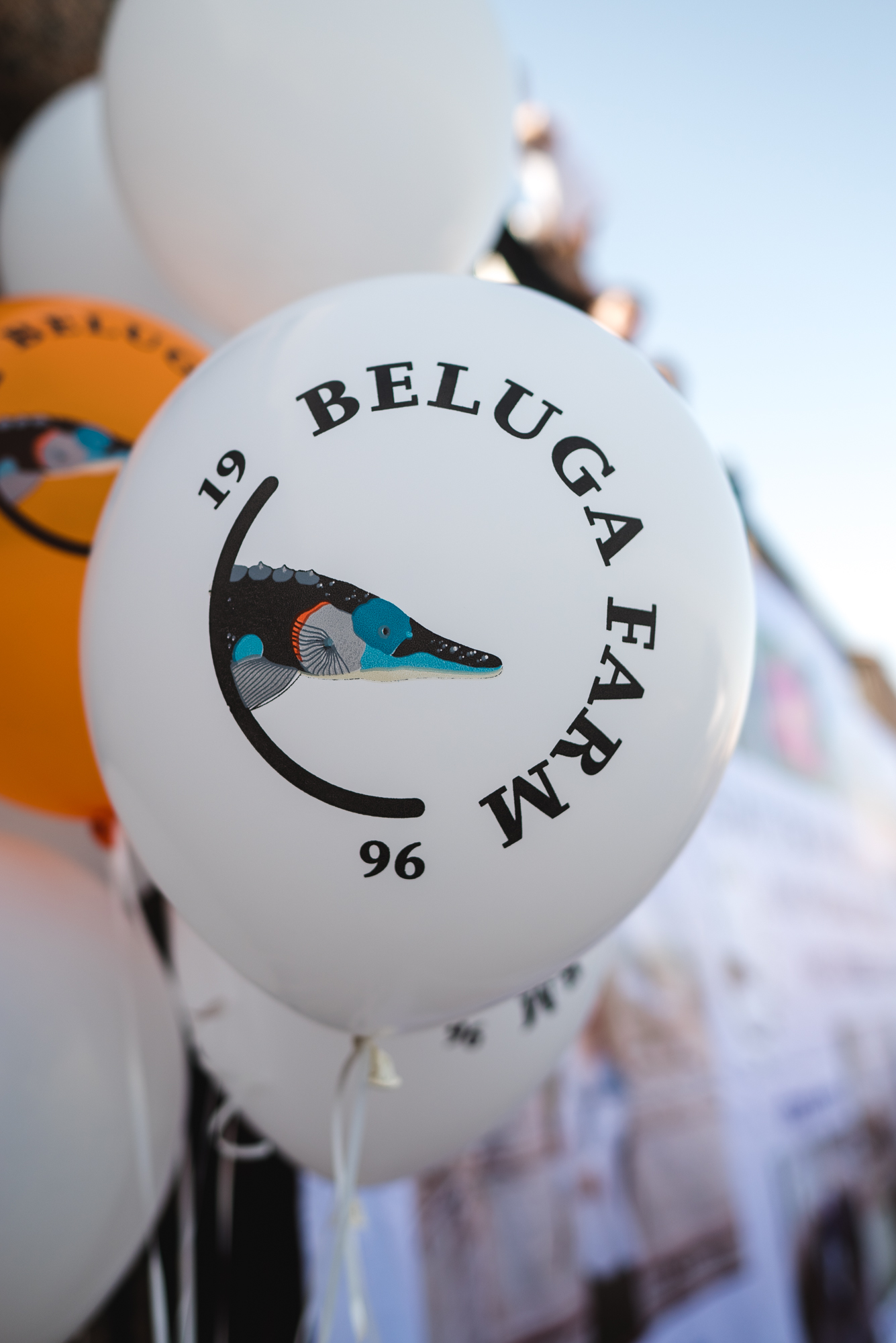 BelugaFarm провел благотворительную акцию по спасению рыб в Астрахани (фото 5)
