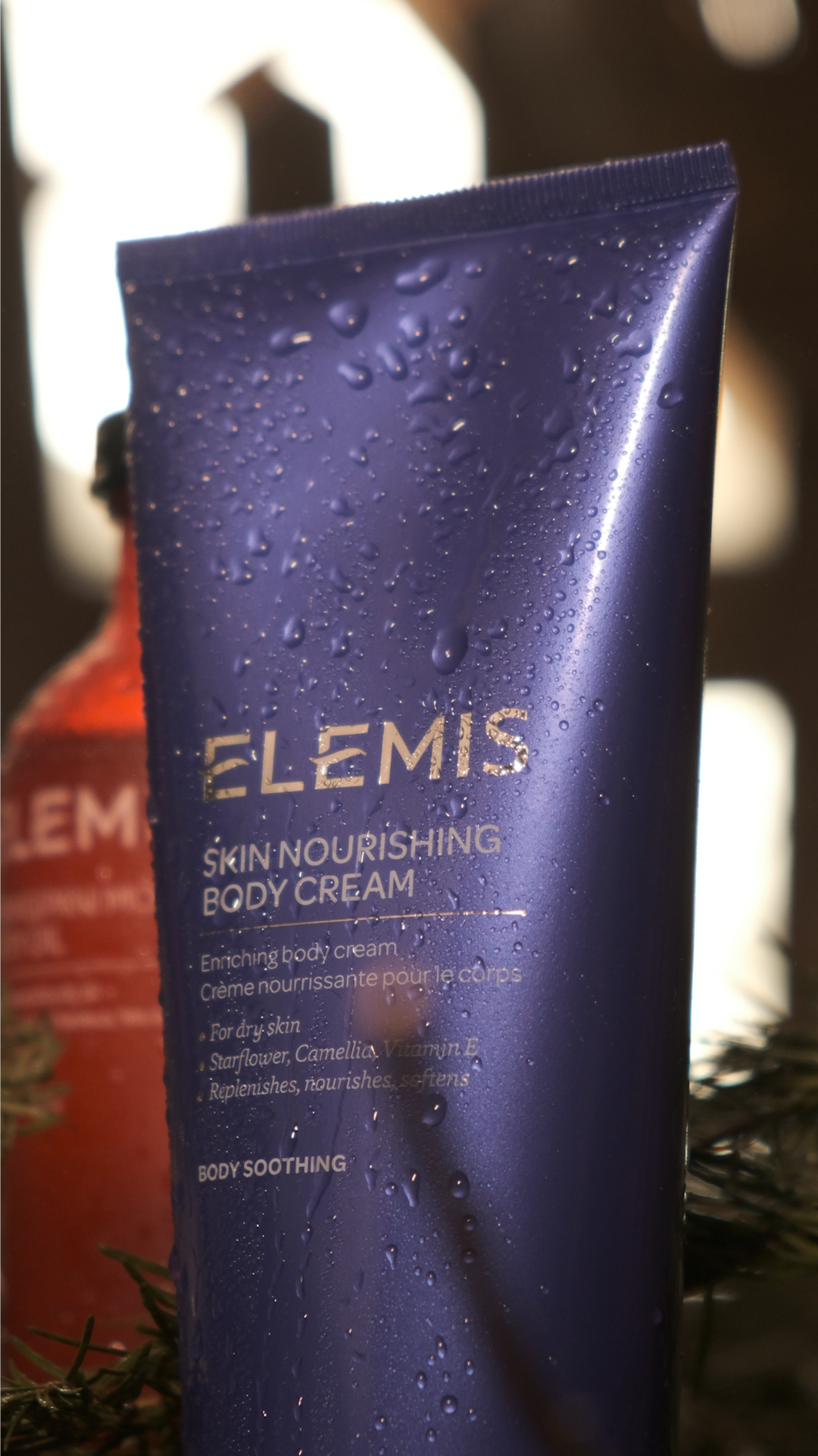 Комплекс Siberia и бренд Elemis запускают авторскую программу женского банного спа (фото 7)