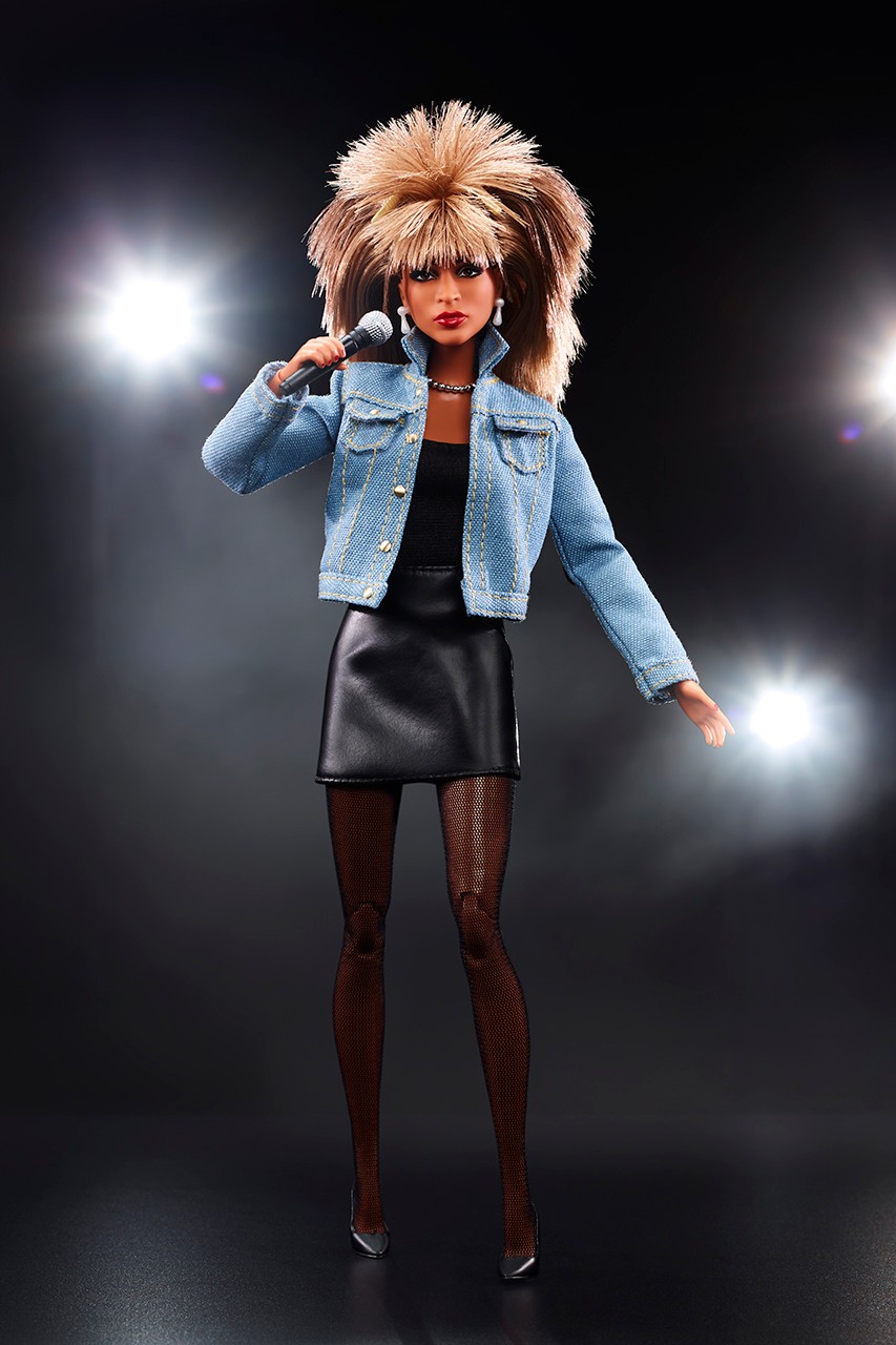 Mattel выпустила куклу в образе певицы Тины Тернер (фото 1)