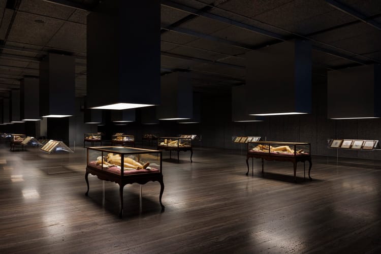 Fondazione Prada и Дэвид Кроненберг показали новую выставку (фото 2)
