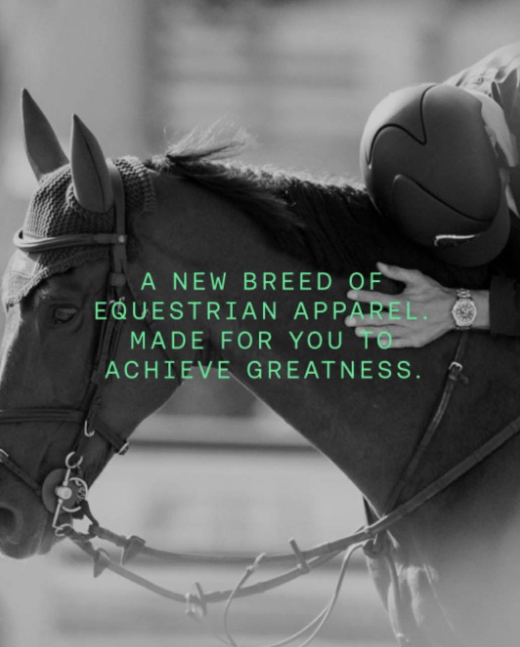 H&M запустил бренд одежды для конного спорта (фото 1)