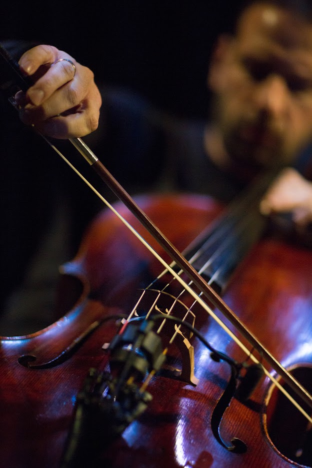 В Москве состоится фестиваль Vivacello, посвященный виолончельной музыке (фото 3)
