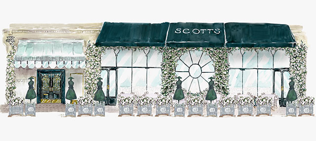Dior украсит террасу Scott's Restaurant и примет участие в выставке садов Челси (фото 1)