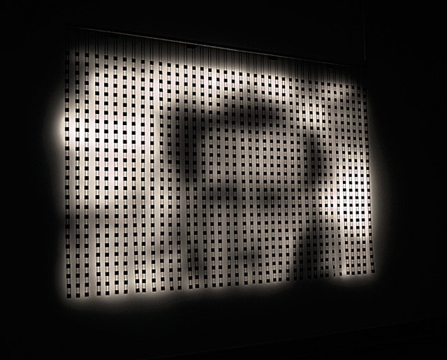 Выставка Lexus Hybrid Art 2014: "гибридное" искусство на ВДНХ (фото 7)