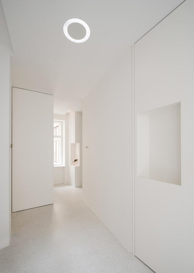 Апартаменты в Вене по проекту Алекса Грэфа (фото 1)