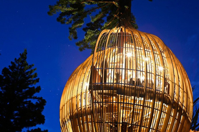Ресторан на дереве Yellow Treehouse в Окленде (фото 3)