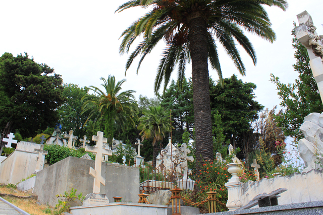 Кладбище Кокад. Ницца (фото 1)