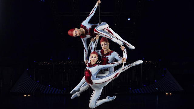 Cirque du Soleil покажет в Москве шоу Quidam (фото 1)