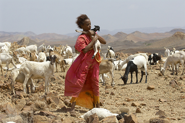 От Марокко до Уганды: кинопутешествие по Африке в 15 фильмах (фото 5)