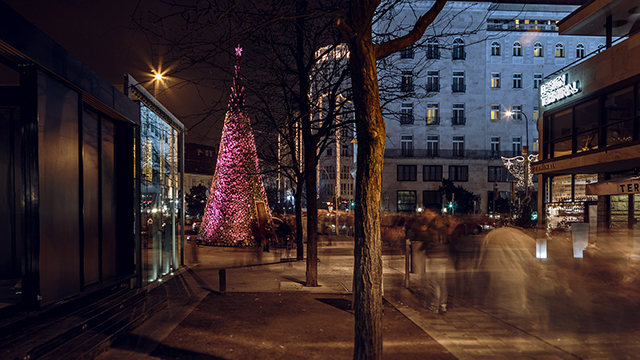 В Будапеште установили новогоднюю елку из поленьев (фото 5)