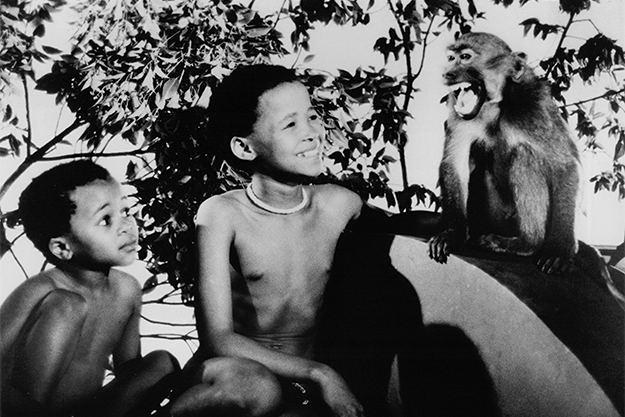 От Марокко до Уганды: кинопутешествие по Африке в 15 фильмах (фото 8)