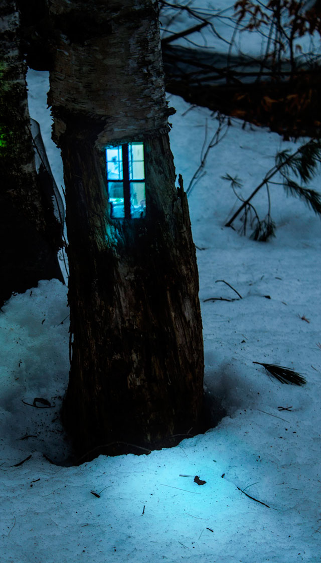 Дом в дереве: инсталляции Даниеля Баррето (фото 1)