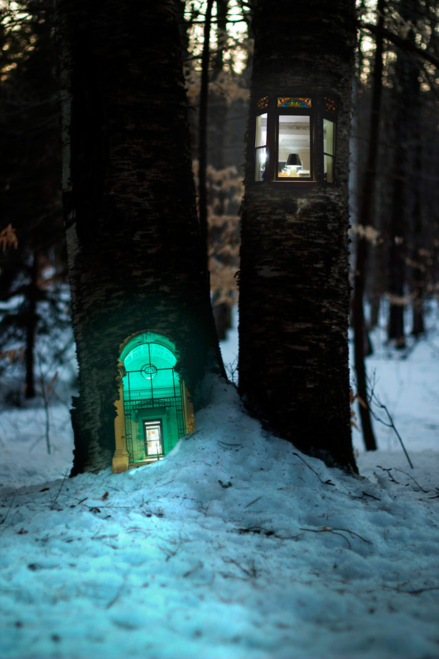 Дом в дереве: инсталляции Даниеля Баррето (фото 5)