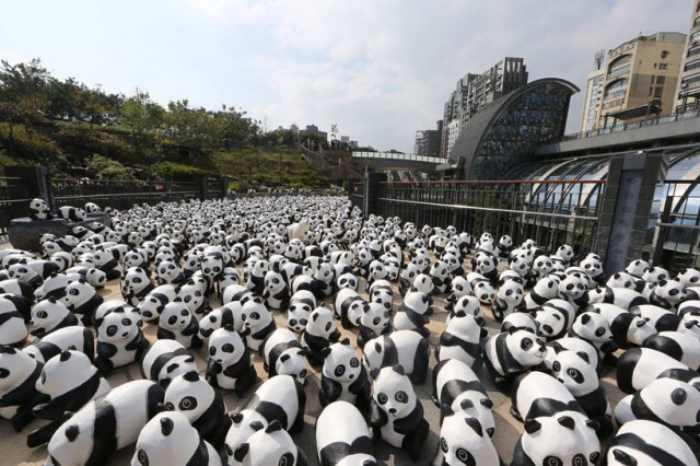 1600 панд заполонили улицы Гонконга (фото 8)