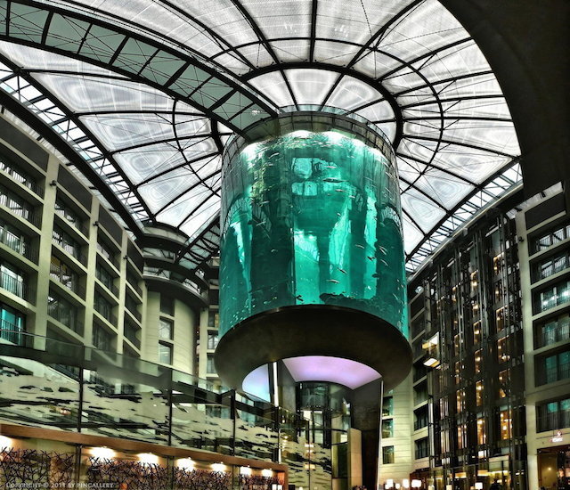 Самый большой аквариум в Radisson SAS Hotel Berlin (фото 2)