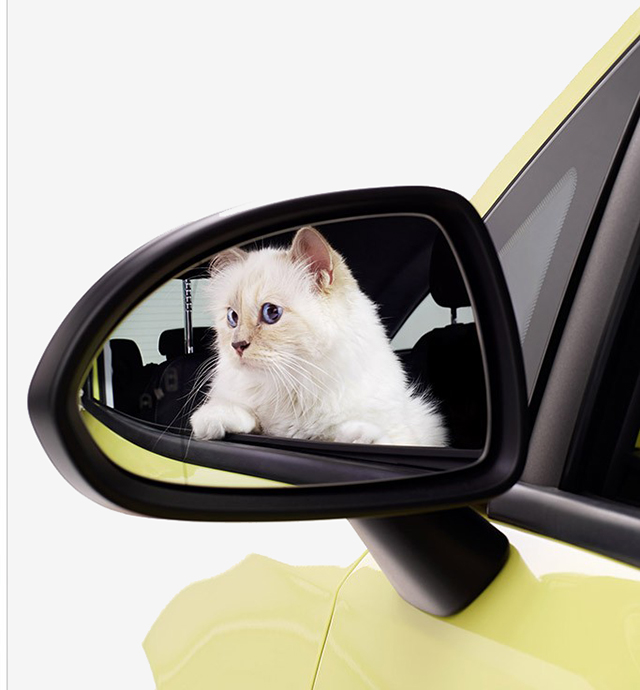 Кошка Карла Лагерфельда теперь рекламирует автомобили (фото 4)