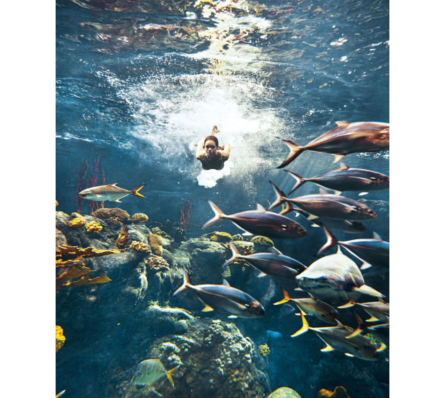 Рианна плавает с акулами на страницах Harper's Bazaar (фото 1)