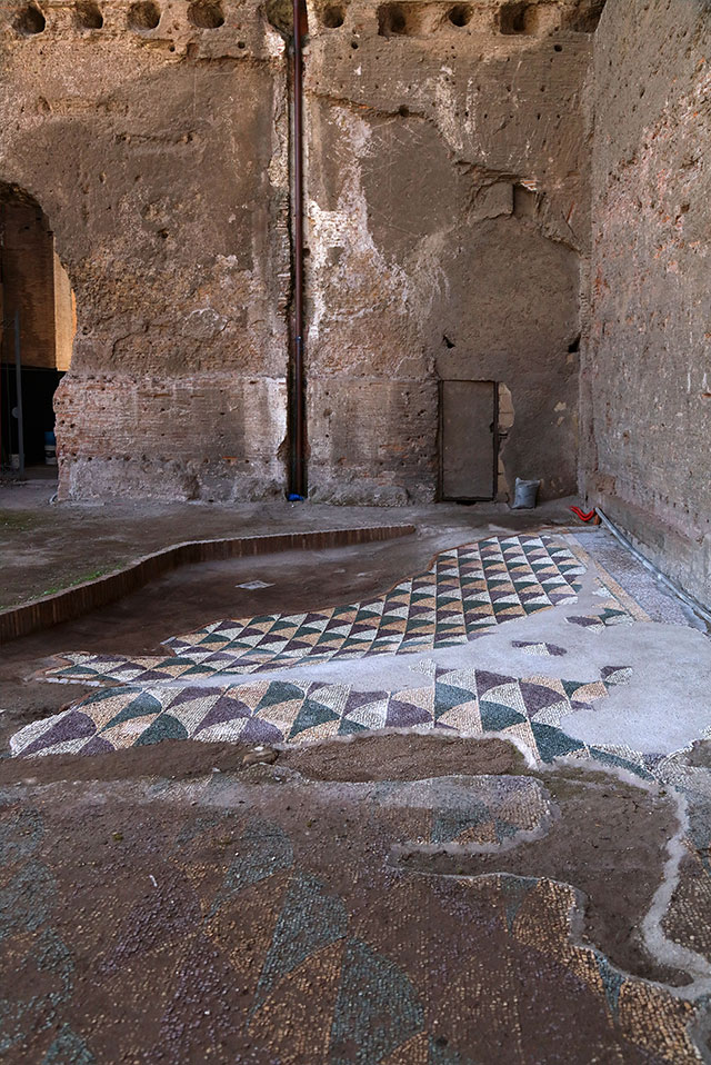 Открылись отреставрированные мозаики в Термах Каракаллы (фото 3)
