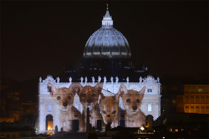Ватикан выступил в поддержку редких видов животных (фото 5)
