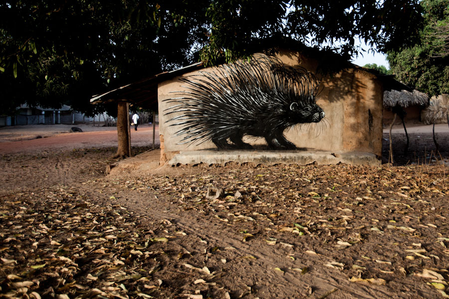 Стрит-арт в Гамбии (фото 6)