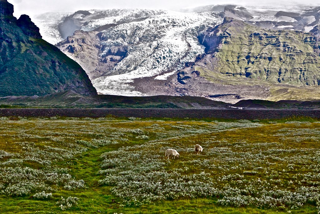 Незабываемая Исландия Николая Красавина (фото 43)