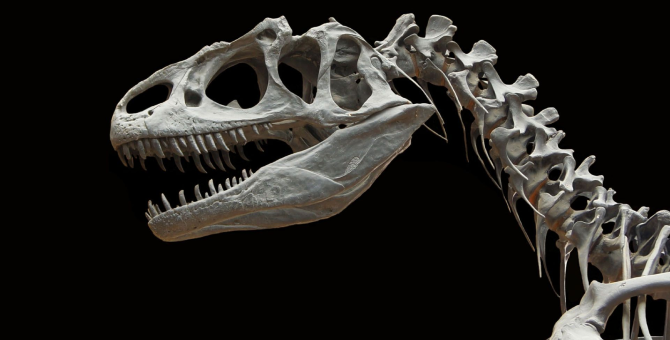 В Португалии нашли крупнейший в Европе скелет динозавра