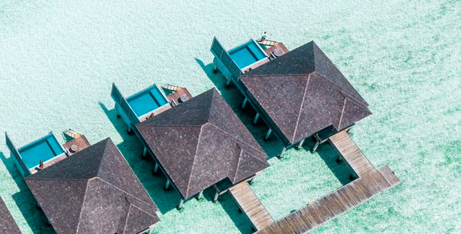 Отель на Мальдивах предложил клиентам год проживания за 30 тысяч долларов