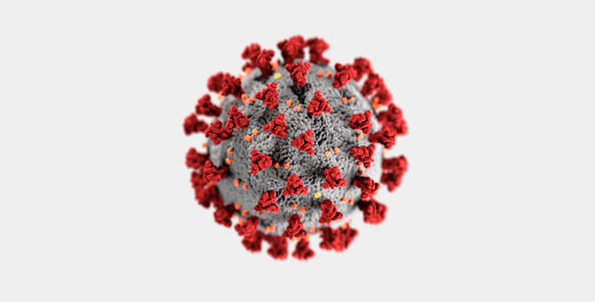 Появились первые фотографии шипов коронавируса в высоком разрешении