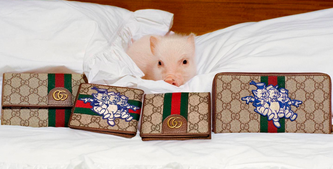 Свинки на прогулке и за обедом в новой кампании Gucci в честь года свиньи