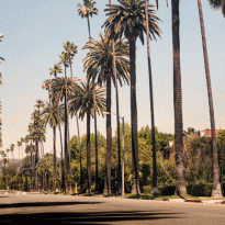 Прямая трансляция показа Burberry в Лос-Анджелесе