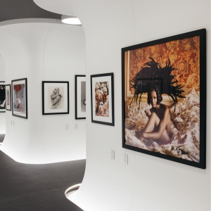 Выставка фонда Still Art в Главном штабе Эрмитажа. 5 историй легендарных фэшн-фотографий